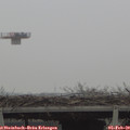 13_00-mast.jpg