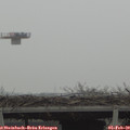 13_05-mast.jpg