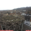 13_05-nest.jpg