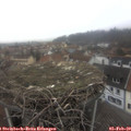 13_10-nest.jpg