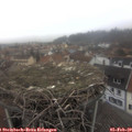 13_15-nest.jpg