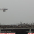13_25-mast.jpg