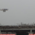 13_30-mast.jpg