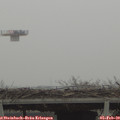 13_40-mast.jpg