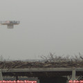 13_45-mast.jpg