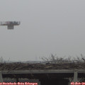 14_00-mast.jpg