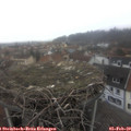 14_05-nest.jpg