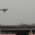 14_15-mast.jpg