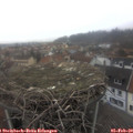 14_15-nest.jpg