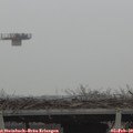 14_20-mast.jpg