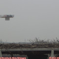 14_25-mast.jpg