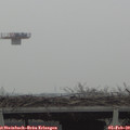 14_40-mast.jpg