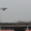 14_55-mast.jpg