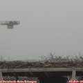 15_05-mast.jpg