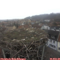 15_05-nest.jpg