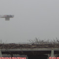 15_20-mast.jpg