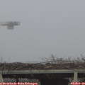 15_30-mast.jpg