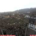 15_40-nest.jpg