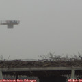 15_45-mast.jpg