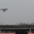 15_55-mast.jpg