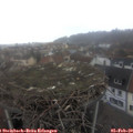 15_55-nest.jpg