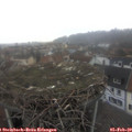 16_10-nest.jpg
