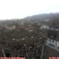 16_35-nest.jpg