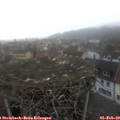 17_05-nest.jpg