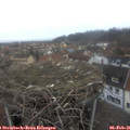 08_00-nest.jpg