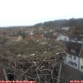 08_05-nest.jpg