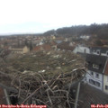08_10-nest.jpg