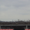 08_15-mast.jpg