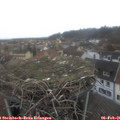08_15-nest.jpg