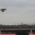 08_20-mast.jpg