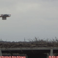 08_30-mast.jpg