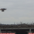 08_40-mast.jpg