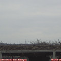 08_45-mast.jpg