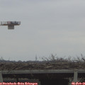 08_50-mast.jpg
