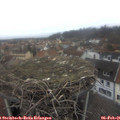 09_00-nest.jpg