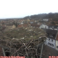 09_05-nest.jpg