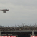 09_10-mast.jpg