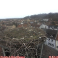 09_10-nest.jpg