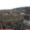 09_20-nest.jpg