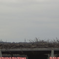 09_25-mast.jpg