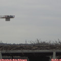 09_30-mast.jpg