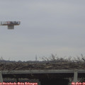09_40-mast.jpg