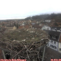 10_00-nest.jpg