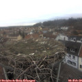 10_05-nest.jpg