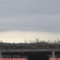 10_35-mast.jpg
