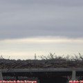 10_40-mast.jpg